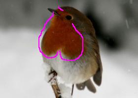 Valentine Robin