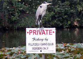 No fishing