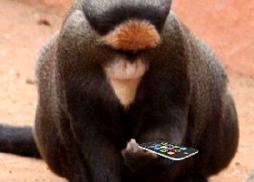 Ape with app
