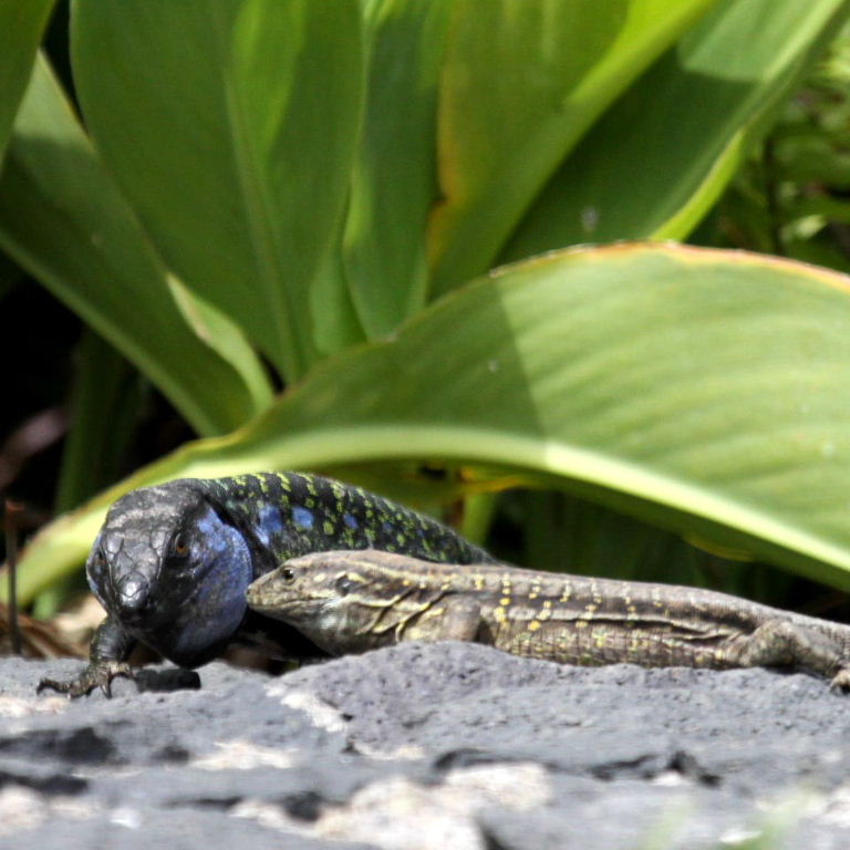 The winner with prize